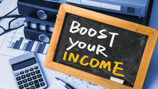 20 Ideas to Boost Your Income