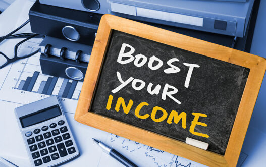 20 Ideas to Boost Your Income