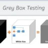 Grey Box Testing